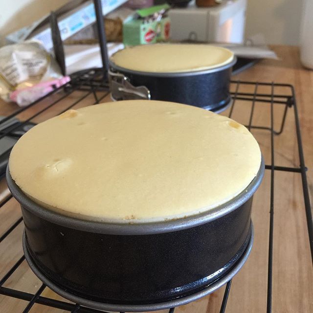 Mini #cheesecakes cooling #baking #bakestagram #cake<span id=