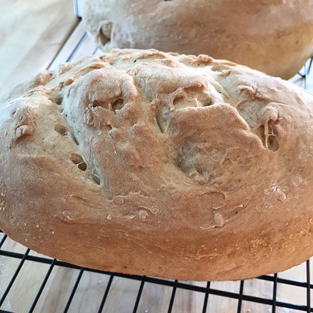 #Baked a little #bread #breadmaking #yummy<span id=
